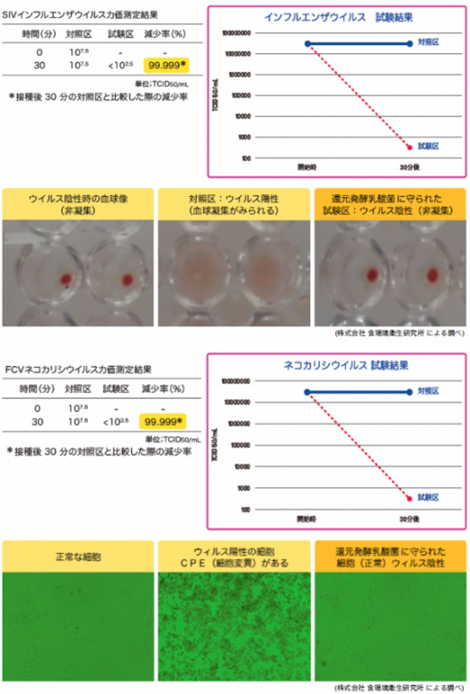 還元発酵乳酸菌®️ （特許取得済） - 炭プラスラボ株式会社｜原料バンク